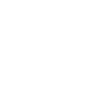 CourgettesNotre légume passe partout très léger et sain. Très faible en calories, c’est avant tout 93% d’eau. Elle apporte un peu de fibres, du potassium, des vitamines et anti-oxydants.