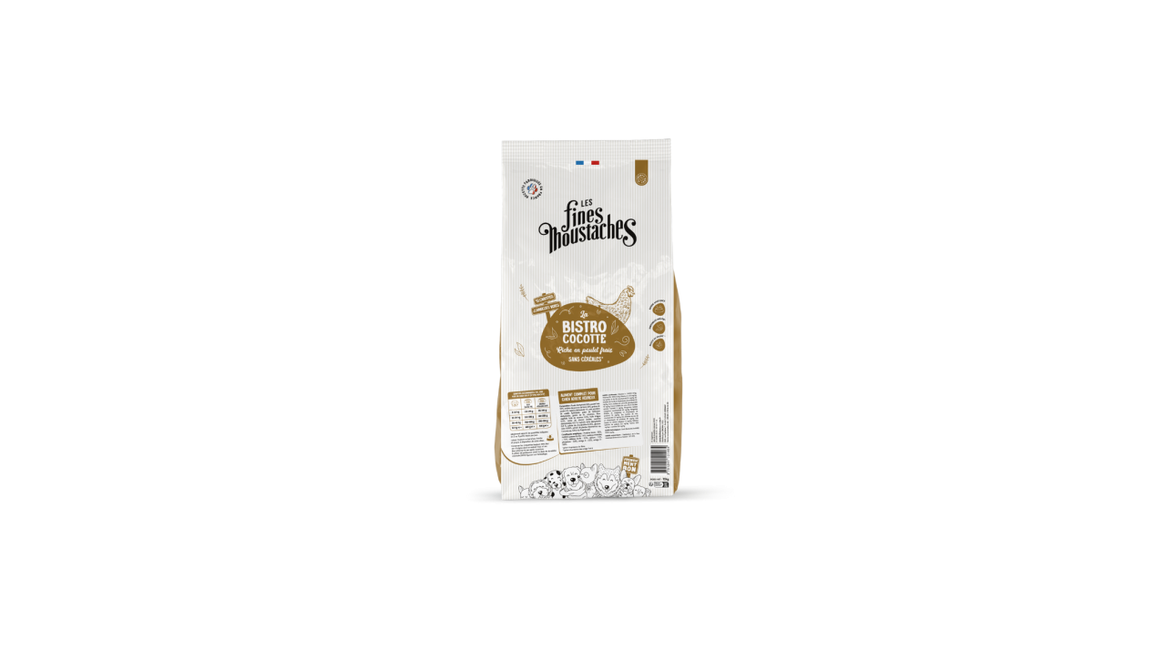 Gabarit - visuel Saveurs (4)