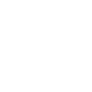 DindeViande très maigre et très digeste riche en oligo-éléments, minéraux, anti-oxydants et la vitamine C.