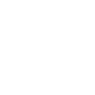 Saumon Source en oméga 3 reconnue pour ses multiples bienfaits sur la santé et l’organisme. Nos chiens en raffolent et leur pelage et leurs articulations lui disent merci !