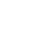 GésiersIls apportent des saveurs incontournables aux papilles de nos chats.  Met raffiné, sain et nutritif riche en protéines, en acides gras essentiel, fer et zinc.