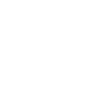 BrocolisC'est un véritable concentré de vitamines, polyphénols et molécules anti-oxydantes, le brocoli contient des fibres utiles pour une bonne digestion. Très riche aussi en vitamine K, plus qu'utile à la santé osseuse.